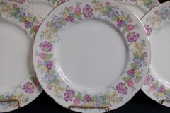COALPORT MAYTIME- DINNER PLATE  ..... http://jaapiesfinechinastore.com