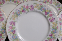 COALPORT MAYTIME- DINNER PLATE  ..... https://www.jaapiesfinechinastore.com