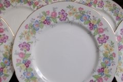 COALPORT MAYTIME- DINNER PLATE  ..... http://jaapiesfinechinastore.com