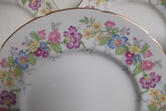 COALPORT MAYTIME- DINNER PLATE  ..... https://www.jaapiesfinechinastore.com