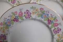 COALPORT MAYTIME- DINNER PLATE  ..... http://jaapiesfinechinastore.com