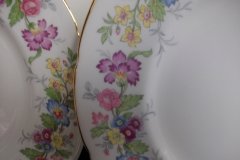 COALPORT MAYTIME- DINNER PLATE  ..... http://jaapiesfinechinastore.com