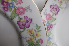 COALPORT MAYTIME- DINNER PLATE  ..... https://www.jaapiesfinechinastore.com