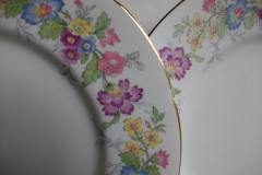 COALPORT MAYTIME- DINNER PLATE  ..... https://www.jaapiesfinechinastore.com