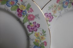 COALPORT MAYTIME- DINNER PLATE  ..... http://jaapiesfinechinastore.com