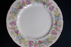 COALPORT MAYTIME- DINNER PLATE  ..... http://jaapiesfinechinastore.com