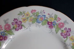 COALPORT MAYTIME- DINNER PLATE  ..... https://www.jaapiesfinechinastore.com