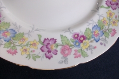 COALPORT MAYTIME- DINNER PLATE  ..... https://www.jaapiesfinechinastore.com