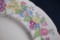 COALPORT MAYTIME- DINNER PLATE  ..... http://jaapiesfinechinastore.com