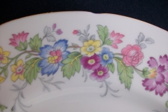 COALPORT MAYTIME- DINNER PLATE  ..... https://www.jaapiesfinechinastore.com