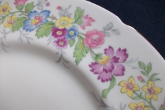 COALPORT MAYTIME- DINNER PLATE  ..... https://www.jaapiesfinechinastore.com