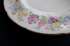 COALPORT MAYTIME- DINNER PLATE  ..... https://www.jaapiesfinechinastore.com