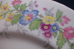 COALPORT MAYTIME- DINNER PLATE  ..... https://www.jaapiesfinechinastore.com