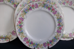 COALPORT MAYTIME- LUNCH PLATE  ..... https://www.jaapiesfinechinastore.com