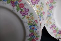 COALPORT MAYTIME- LUNCH PLATE  ..... http://jaapiesfinechinastore.com