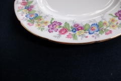 COALPORT MAYTIME- LUNCH PLATE  ..... https://www.jaapiesfinechinastore.com