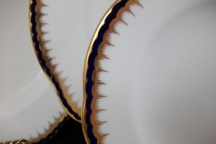 COALPORT SPEARPOINT 850- DESSERT/PIE PLATE    .....   https://www.jaapiesfinechinastore.com