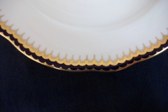 COALPORT SPEARPOINT 850- DINNER PLATE    .....   https://www.jaapiesfinechinastore.com