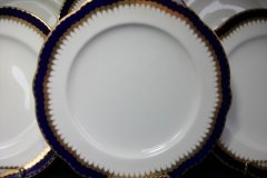 COALPORT SPEARPOINT COBALT 866 SCALLOPED- DINNER PLATE  10 1/2"  &  10 5/8" ..... http://jaapiesfinechinastore.com