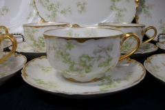 HAVILAND APPLE BLOSSOM SCH 61L- CUP & SAUCER   .....   https://www.jaapiesfinechinastore.com