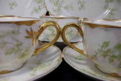 HAVILAND APPLE BLOSSOM SCH 61L- CUP & SAUCER   .....   http://jaapiesfinechinastore.com