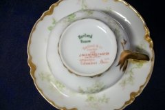 HAVILAND APPLE BLOSSOM SCH 61L- CUP & SAUCER   .....   http://jaapiesfinechinastore.com