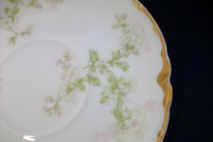 HAVILAND APPLE BLOSSOM SCH 61L- CUP & SAUCER   .....   https://www.jaapiesfinechinastore.com