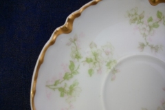 HAVILAND APPLE BLOSSOM SCH 61L- CUP & SAUCER   .....   https://www.jaapiesfinechinastore.com