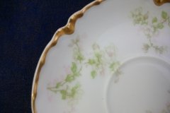 HAVILAND APPLE BLOSSOM SCH 61L- CUP & SAUCER   .....   http://jaapiesfinechinastore.com