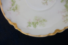 HAVILAND APPLE BLOSSOM SCH 61L- CUP & SAUCER   .....   https://www.jaapiesfinechinastore.com