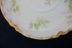 HAVILAND APPLE BLOSSOM SCH 61L- CUP & SAUCER   .....   http://jaapiesfinechinastore.com