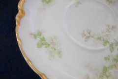 HAVILAND APPLE BLOSSOM SCH 61L- CUP & SAUCER   .....   http://jaapiesfinechinastore.com