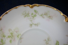 HAVILAND APPLE BLOSSOM SCH 61L- CUP & SAUCER   .....   https://www.jaapiesfinechinastore.com