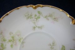 HAVILAND APPLE BLOSSOM SCH 61L- CUP & SAUCER   .....   http://jaapiesfinechinastore.com