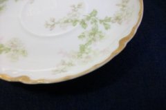 HAVILAND APPLE BLOSSOM SCH 61L- CUP & SAUCER   .....   http://jaapiesfinechinastore.com
