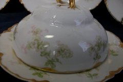 HAVILAND APPLE BLOSSOM SCH 61L- DOME & STRAINER FOR BUTTER DISH ..... http://jaapiesfinechinastore.com   -DOME ON SALAD PLATE-