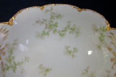 HAVILAND APPLE BLOSSOM SCH 61L- OPEN OVAL SERVING BOWL  9 7/8"   .....   https://www.jaapiesfinechinastore.com