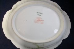 HAVILAND APPLE BLOSSOM SCH 61L- OPEN OVAL SERVING BOWL  9 7/8"   .....   http://jaapiesfinechinastore.com