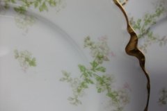 HAVILAND APPLE BLOSSOM SCH 61L- DINNER PLATE 9 3/4"  ..... http://jaapiesfinechinastore.com
