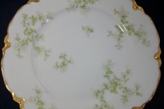 HAVILAND APPLE BLOSSOM SCH 61L- DINNER PLATE 9 3/4"  ..... https://www.jaapiesfinechinastore.com