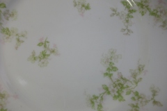 HAVILAND APPLE BLOSSOM SCH 61L- DINNER PLATE 9 3/4"  ..... https://www.jaapiesfinechinastore.com