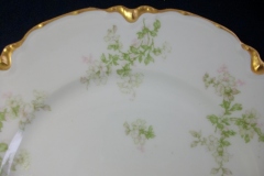 HAVILAND APPLE BLOSSOM SCH 61L- DINNER PLATE 9 3/4"  ..... https://www.jaapiesfinechinastore.com