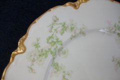 HAVILAND APPLE BLOSSOM SCH 61L- DINNER PLATE 9 3/4"  ..... http://jaapiesfinechinastore.com