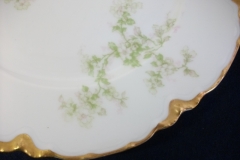 HAVILAND APPLE BLOSSOM SCH 61L- DINNER PLATE 9 3/4"  ..... https://www.jaapiesfinechinastore.com