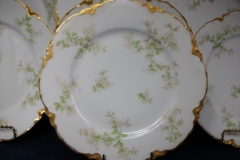 HAVILAND APPLE BLOSSOM SCH 61L- LUNCH PLATE  8 5/8" ..... https://www.jaapiesfinechinastore.com