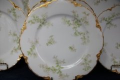HAVILAND APPLE BLOSSOM SCH 61L- LUNCH PLATE  8 5/8" ..... http://jaapiesfinechinastore.com