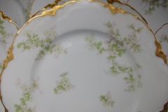 HAVILAND APPLE BLOSSOM SCH 61L- LUNCH PLATE  8 5/8" ..... https://www.jaapiesfinechinastore.com