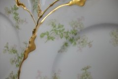 HAVILAND APPLE BLOSSOM SCH 61L- LUNCH PLATE  8 5/8" ..... http://jaapiesfinechinastore.com