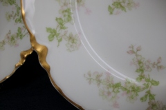 HAVILAND APPLE BLOSSOM SCH 61L- LUNCH PLATE  8 5/8" ..... https://www.jaapiesfinechinastore.com