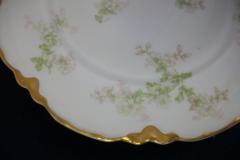 HAVILAND APPLE BLOSSOM SCH 61L- LUNCH PLATE  8 5/8" ..... https://www.jaapiesfinechinastore.com